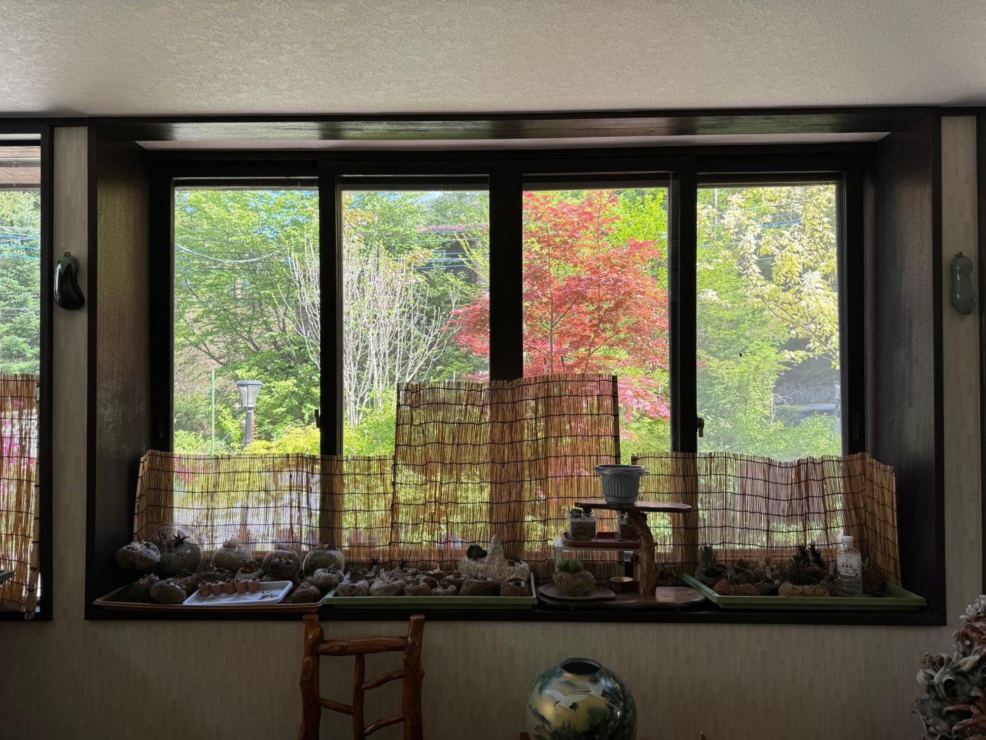 Pension Lanpou Fujikawaguchiko Extérieur photo